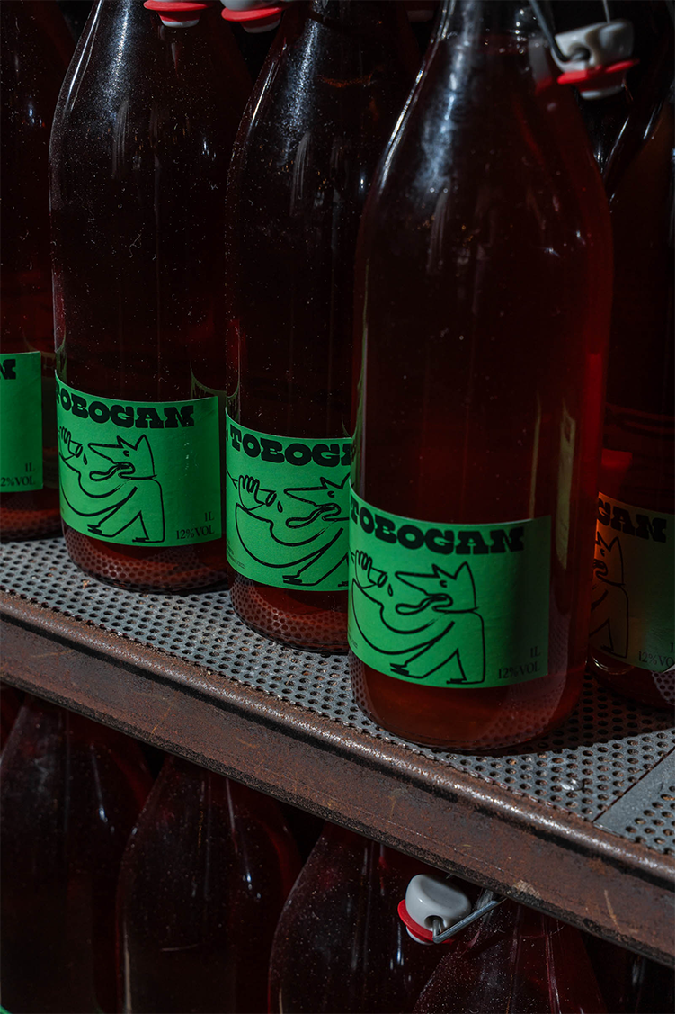 toboga-apollo30_0002_DSC04784